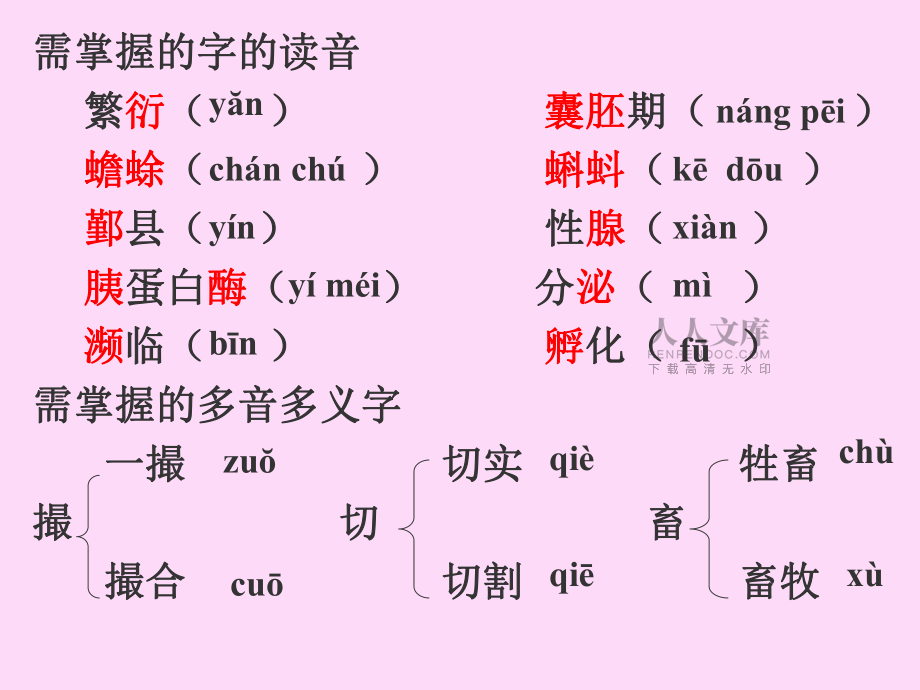 奇妙的克隆 (3)_第2页