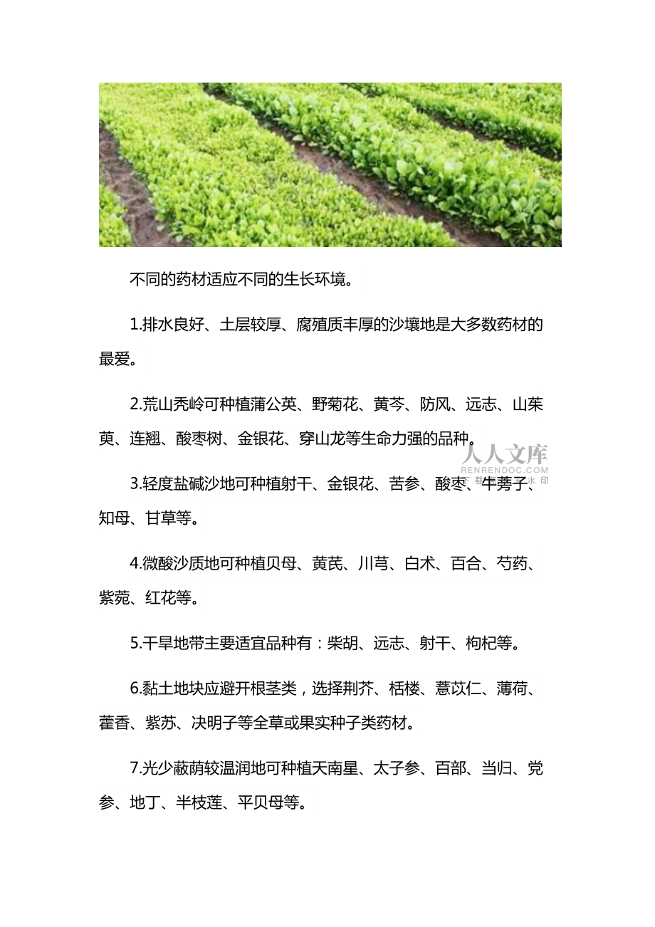 中药材种植技术_第2页