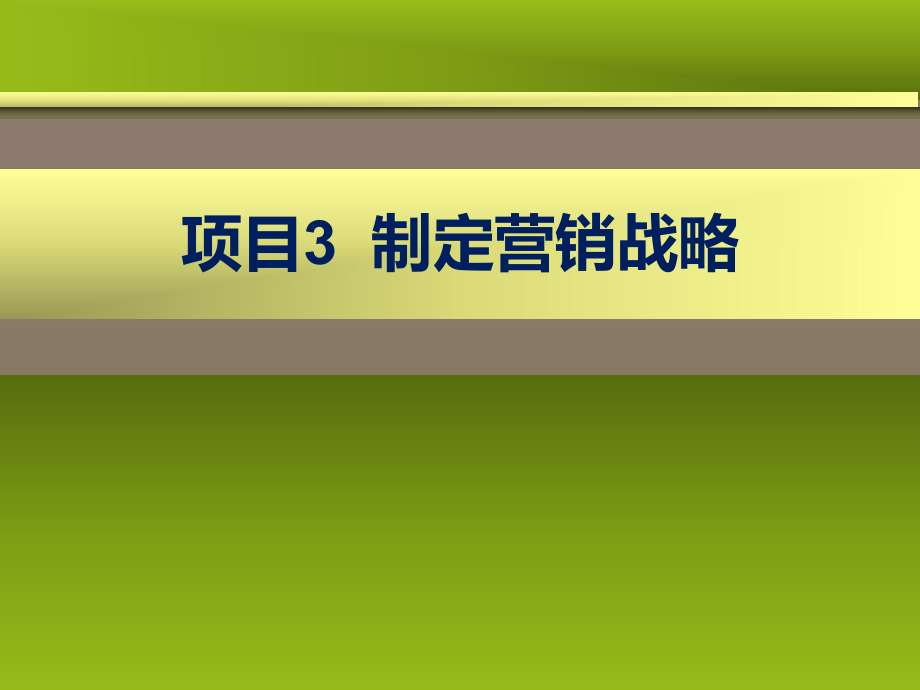项目3制定营销战略_第1页