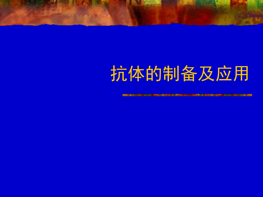 抗體的制備及應用_第1頁
