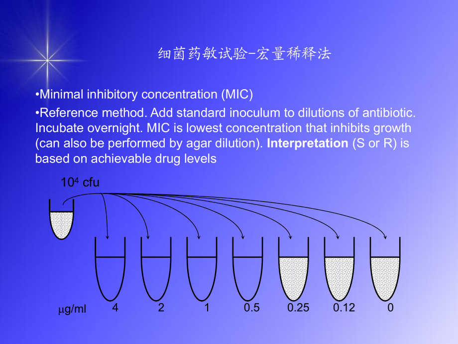 细菌药敏试验及耐药机制的研究_第4页