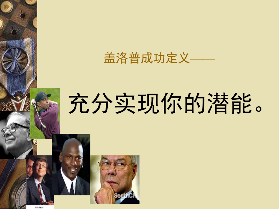 优势(盖洛普)_第3页