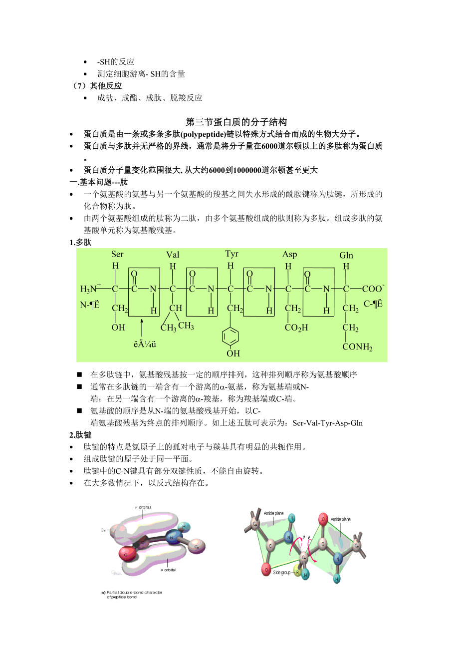 生物化學資料第一章_第5頁