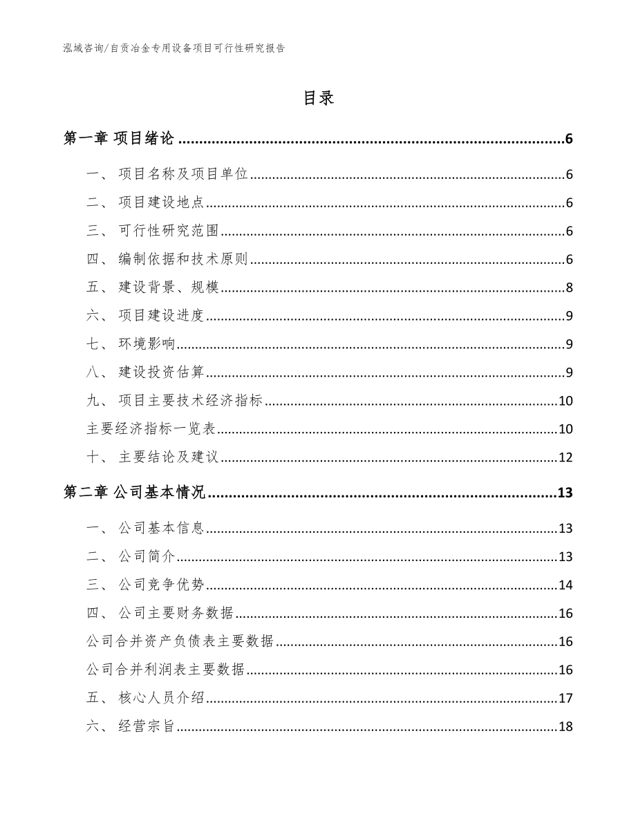 自貢冶金專用設(shè)備項(xiàng)目可行性研究報(bào)告(模板范文)_第1頁