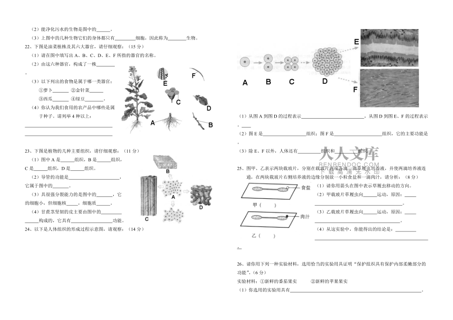 七年级生物学上册第二单元测试题_第2页