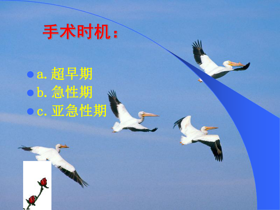 颅内血肿微创清除术常见问题ppt_第3页