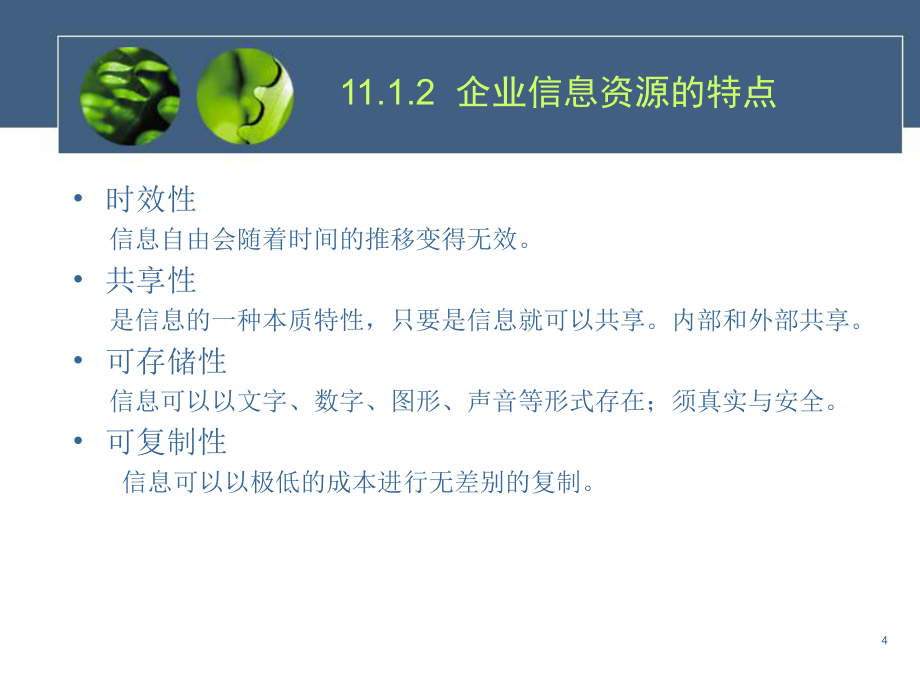 企业信息资源管理_第4页