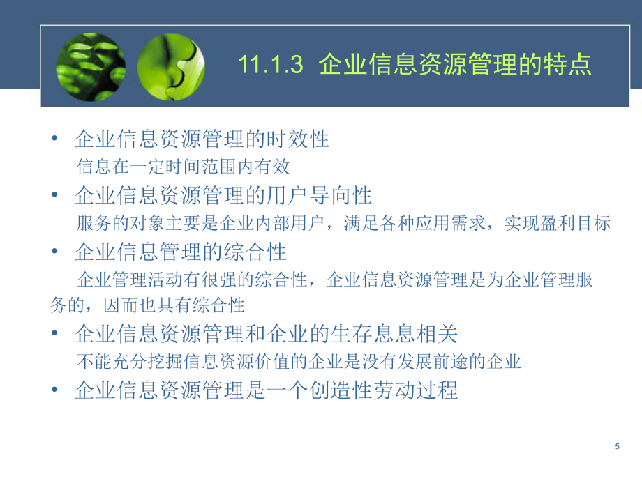 企业信息资源管理_第5页