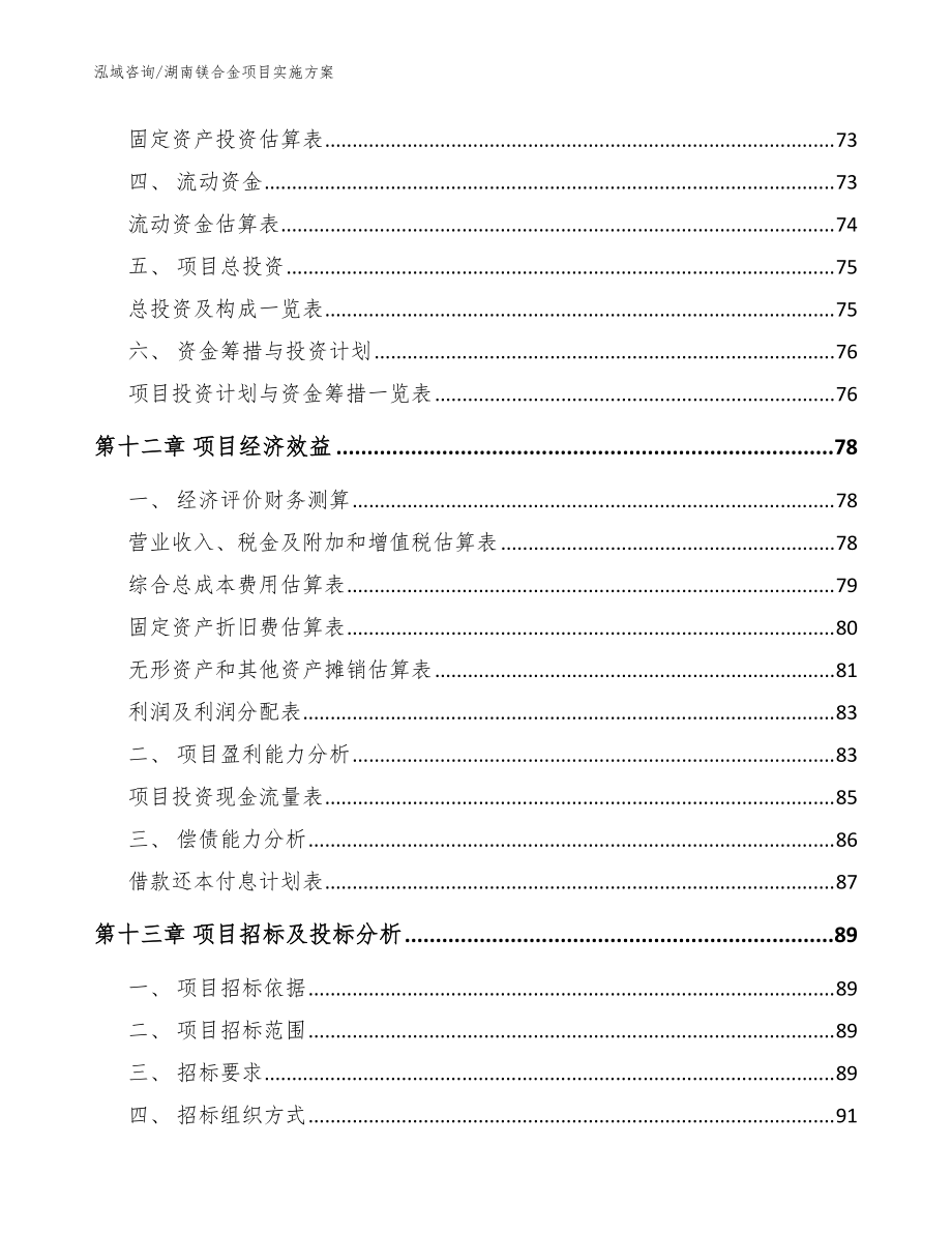 湖南镁合金项目实施方案参考模板_第5页