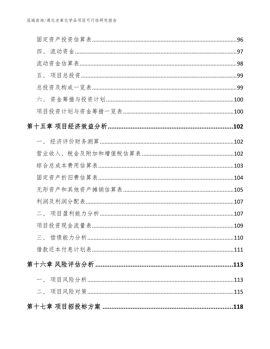 通化皮革化学品项目可行性研究报告模板_第5页