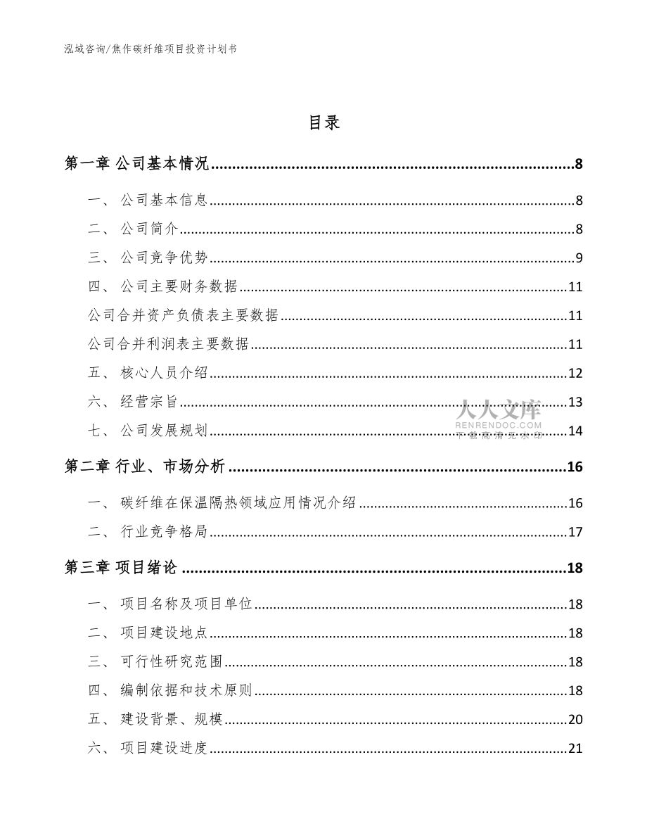 焦作碳纤维项目投资计划书_模板范本_第2页