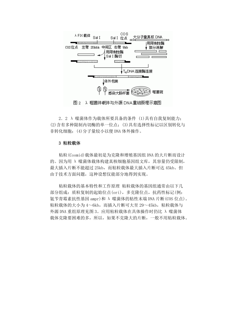 分子生物学技术讲座(一)_第3页