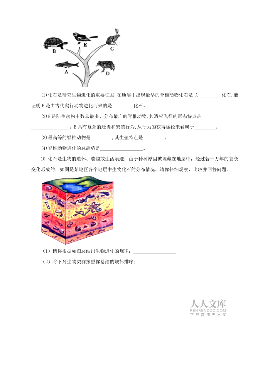 八年级生物下册第七单元第三章第二节《生物进化的历程》同_第2页