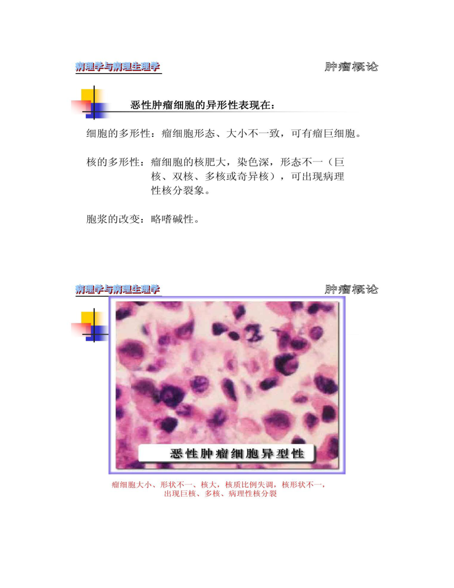 【图文】肿瘤概论_百度文库_第5页