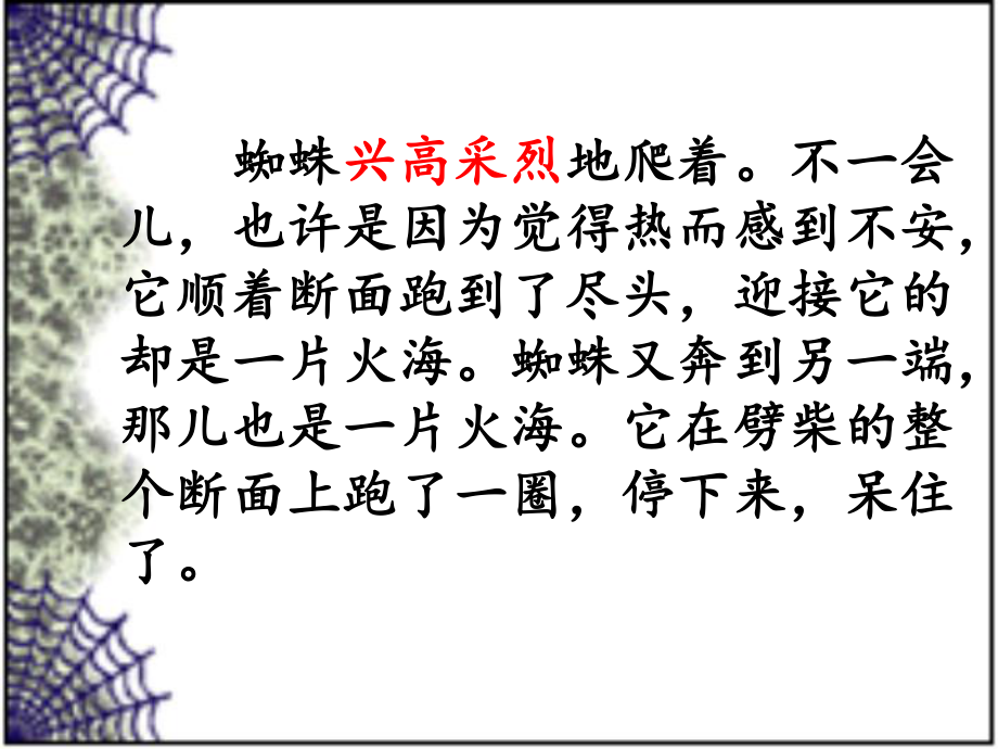 蜘蛛脱险(西师版)_第5页