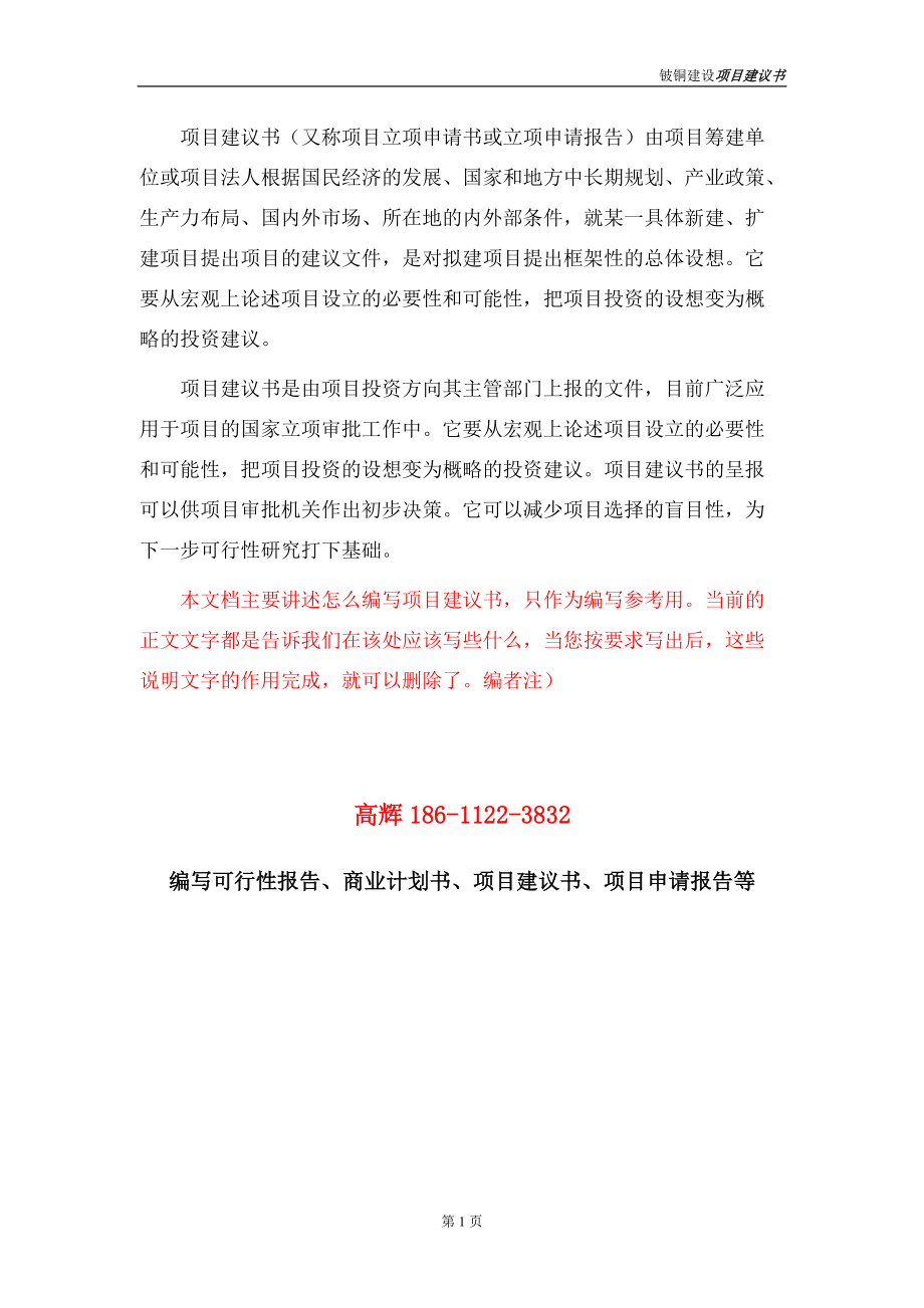 鈹銅項目建議書范文_第5頁