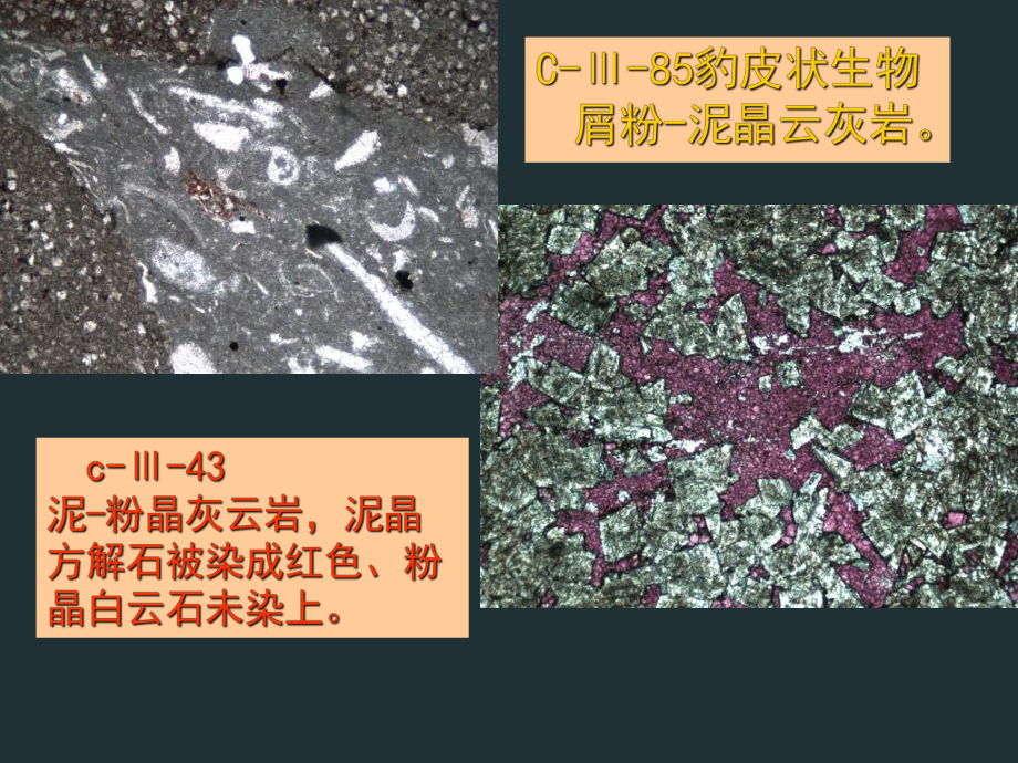 實驗碳酸鹽巖成份與結構一ppt課件_第5頁