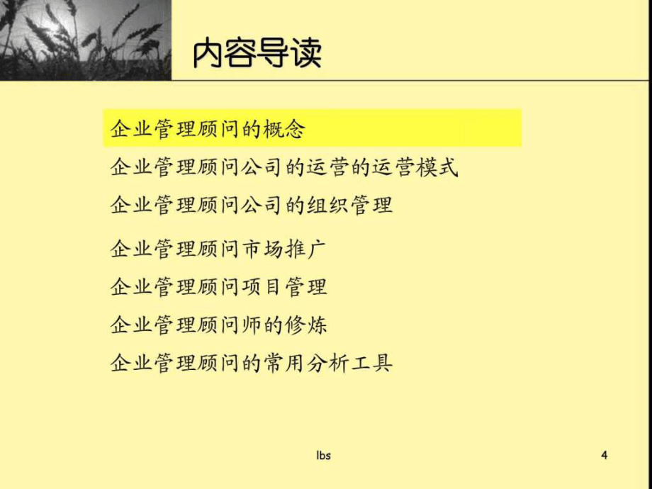 企业管理顾公司业务运营规划_第4页
