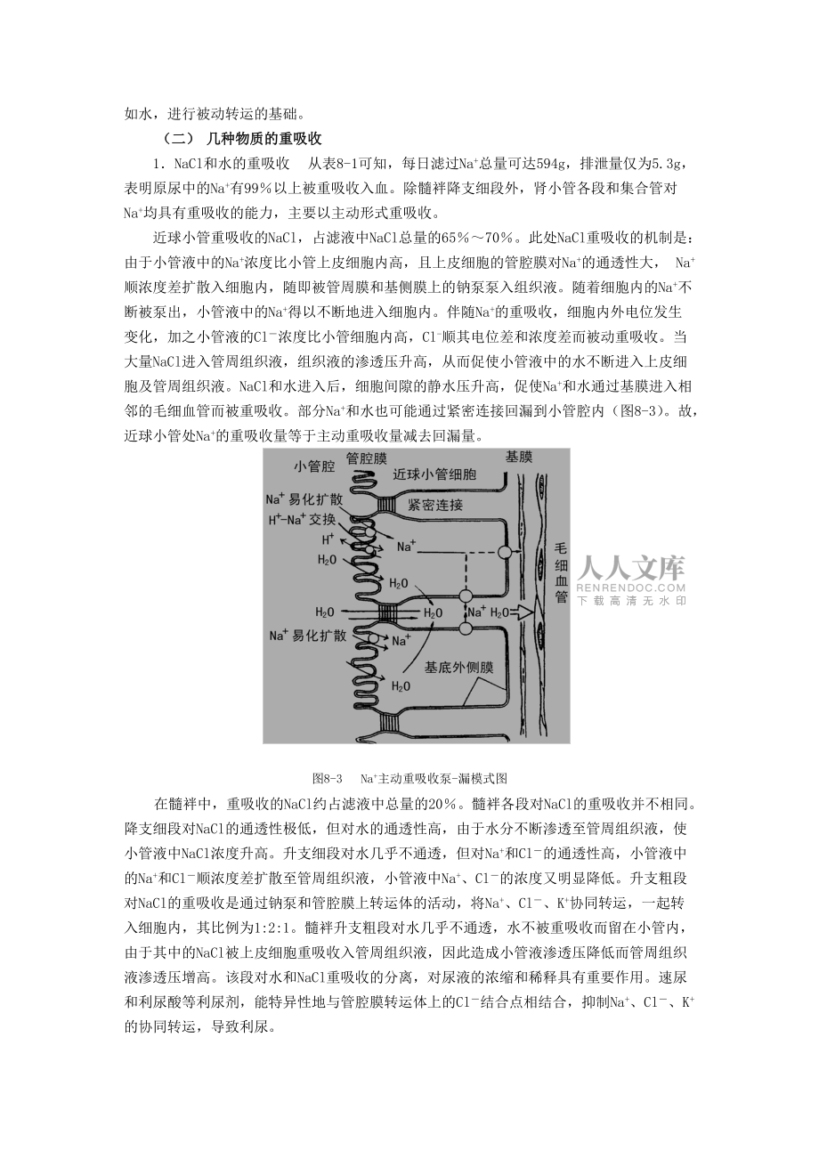肾小管和集合管的重吸收作用_第2页