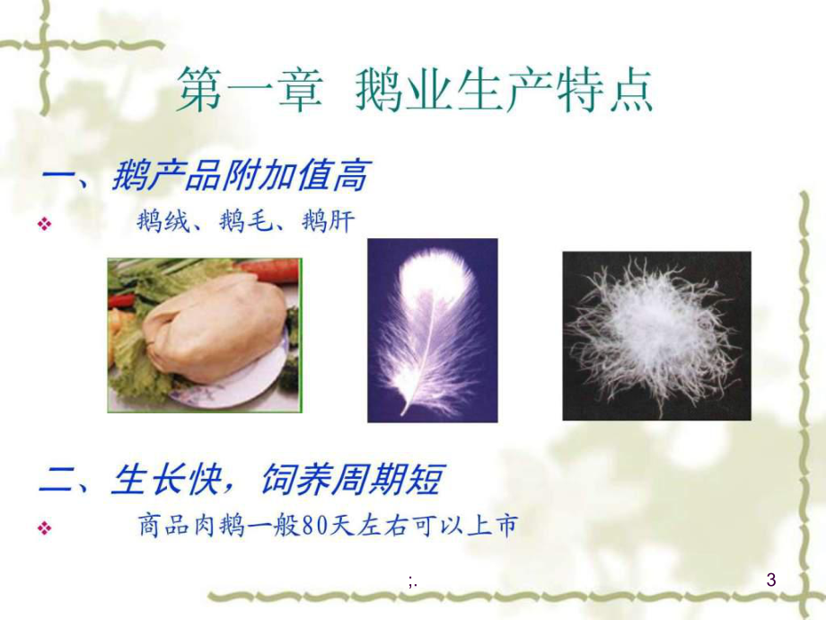 《鵝養(yǎng)殖技術(shù)》PPT課件_第3頁