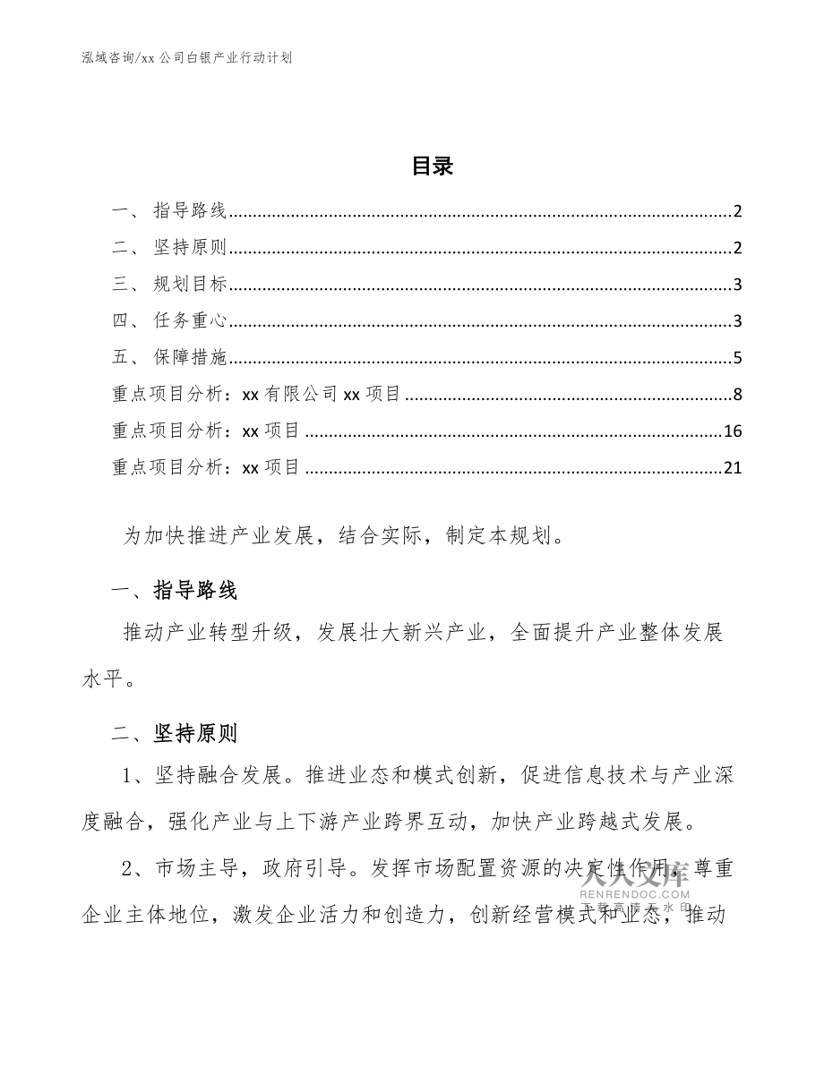 xx公司白银产业行动计划(意见稿)_第2页