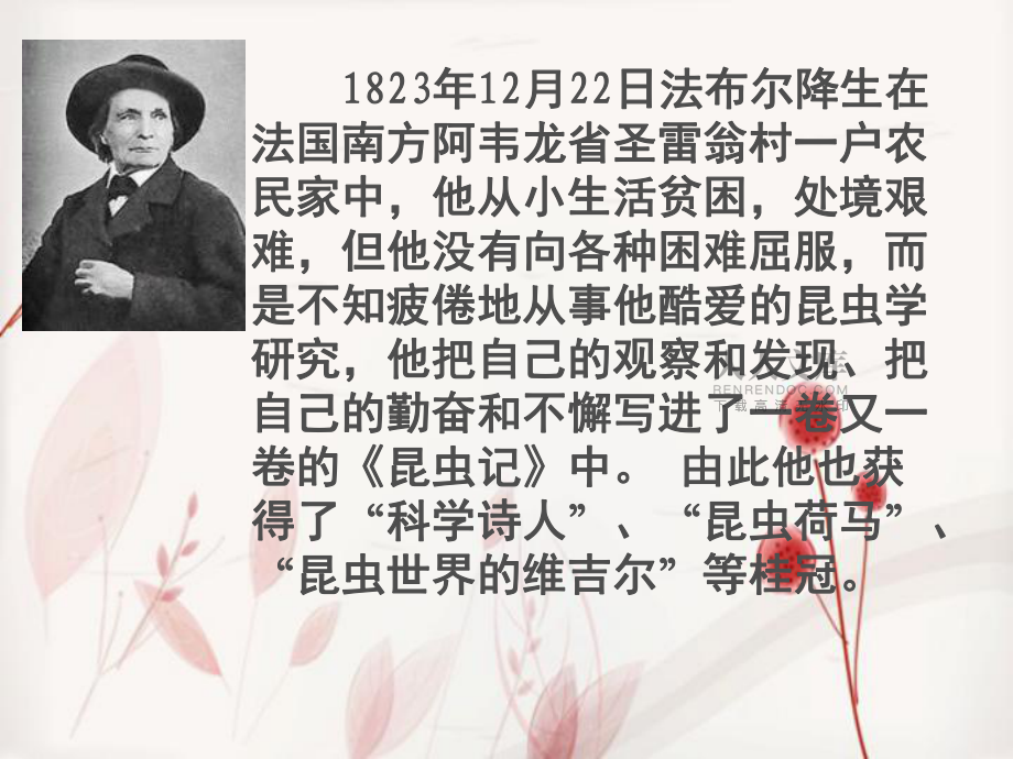 昆虫记读书汇报(课堂PPT)_第2页