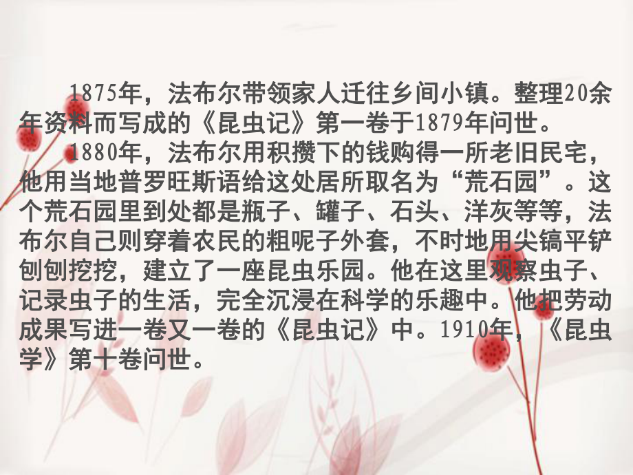 昆虫记读书汇报(课堂PPT)_第3页
