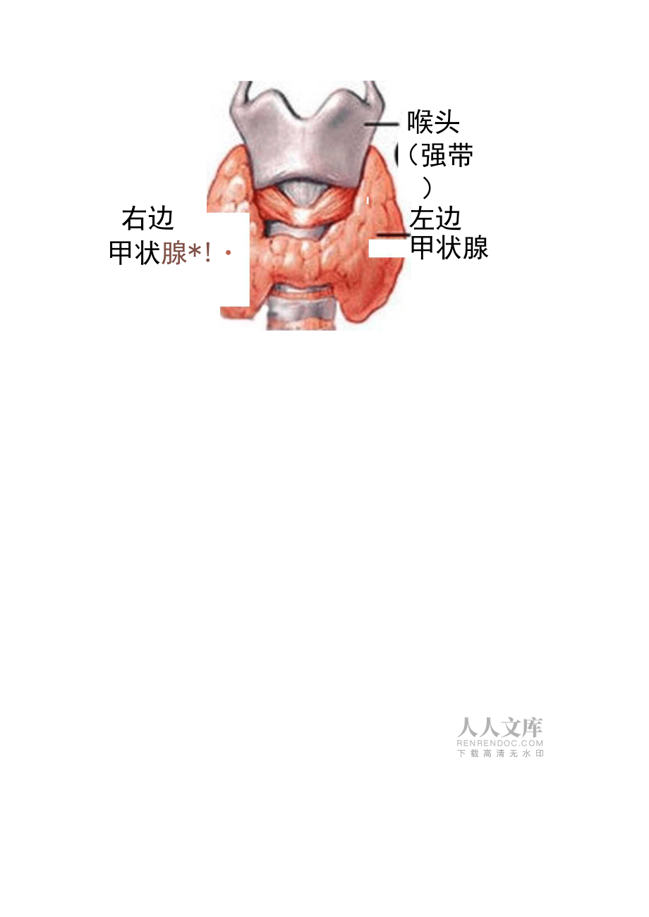 甲狀腺結節(jié)與甲狀腺疾病_第2頁