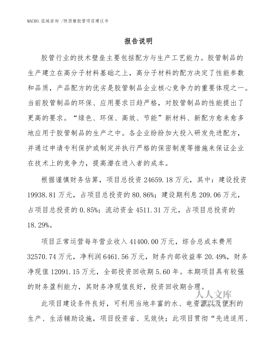 陜西橡膠管項目建議書(模板范文)_第2頁
