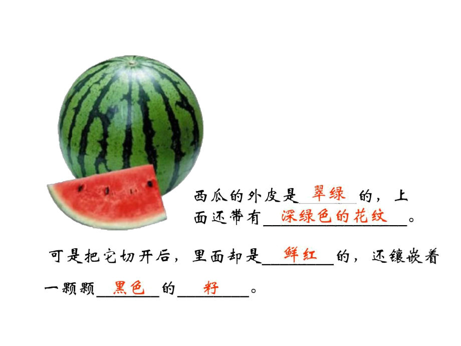 說明事物要抓住特征_第4頁