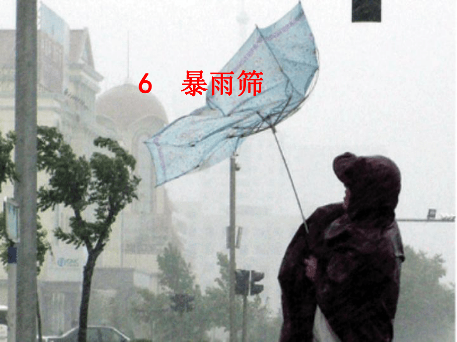 六年級(jí)語(yǔ)文下冊(cè)《暴雨篩》2 北京版_第2頁(yè)