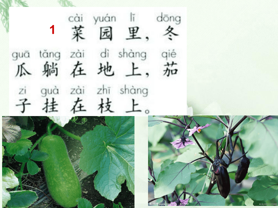 (人教新课标)一年级语文上册课件 一次比一次有进步 课件12_第5页