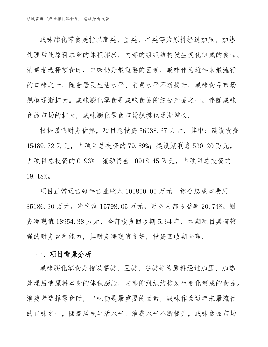 咸味膨化零食项目总结分析报告(参考模板)_第3页