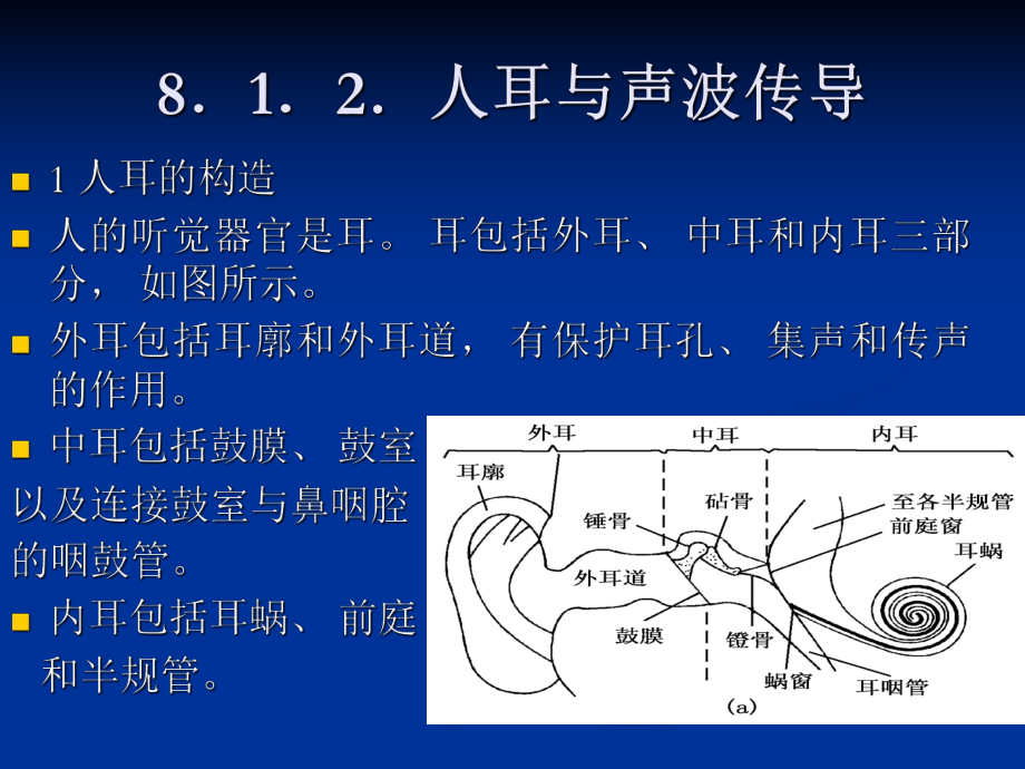 第8章 信息的聽覺傳示_第5頁