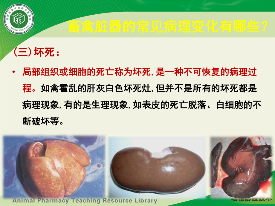 動(dòng)物疫病控制病理剖檢與病料采集運(yùn)送畜禽臟器的常見病理變化_第3頁
