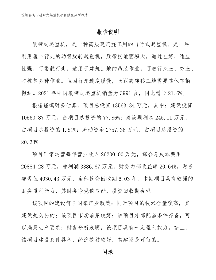 履带式起重机项目效益分析报告(范文模板)_第1页