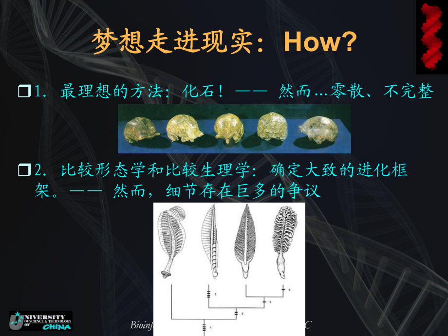 分子进化与系统发育分析_第3页