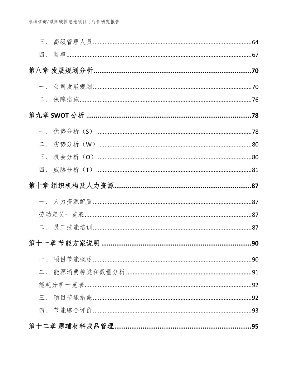 濮阳碳性电池项目可行性研究报告(模板范本)_第3页