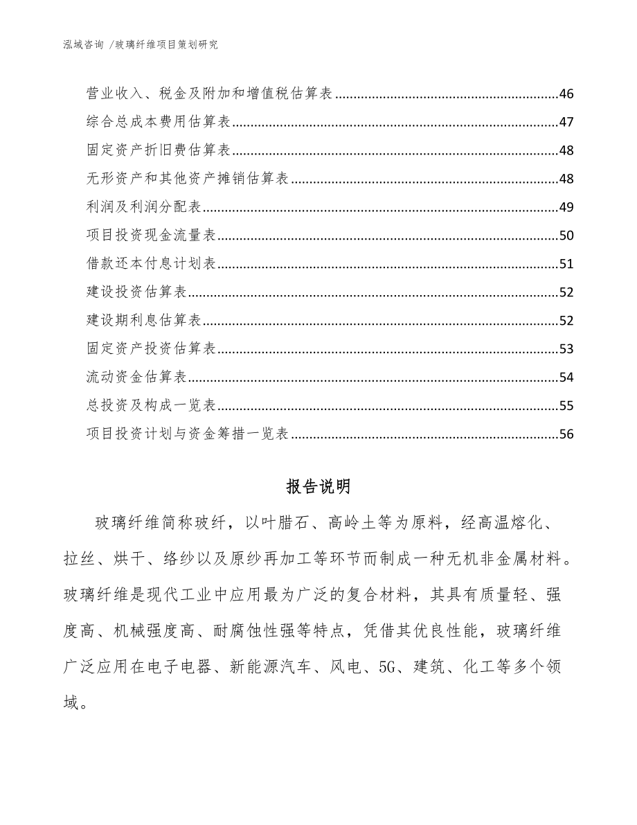 玻璃纖維項(xiàng)目策劃研究(模板范本)_第3頁