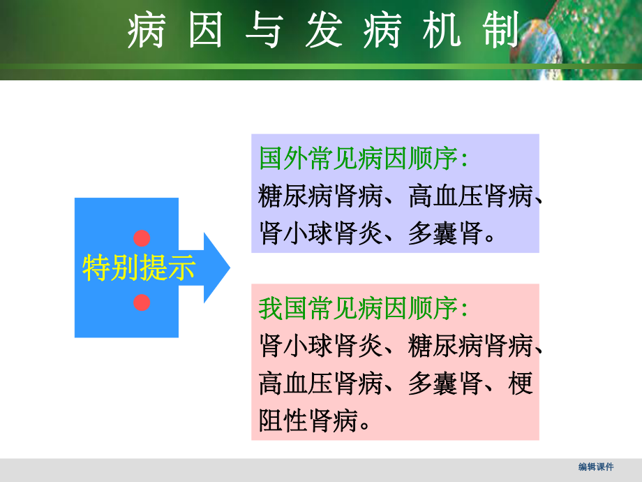 尿毒症的护理_第4页