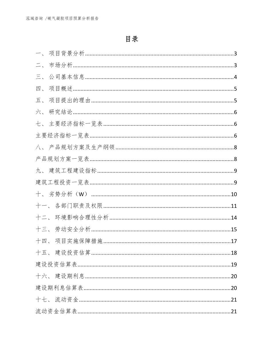 碳气凝胶项目预算分析报告(模板)_第1页