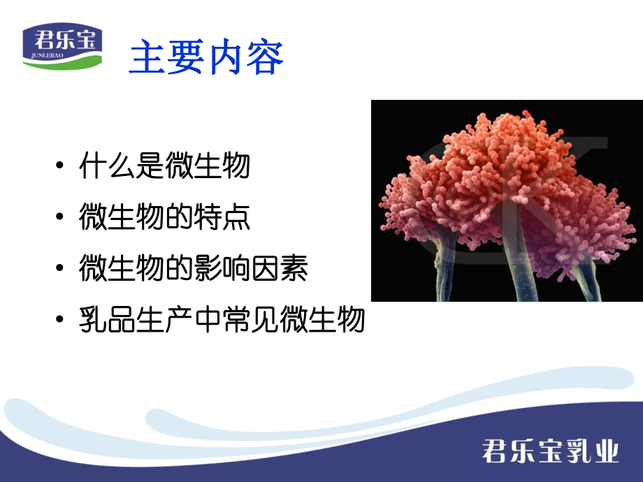 微生物知識培訓2007_第3頁