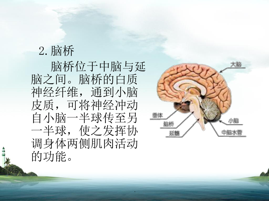 胎兒頭顱的超聲檢查_第5頁