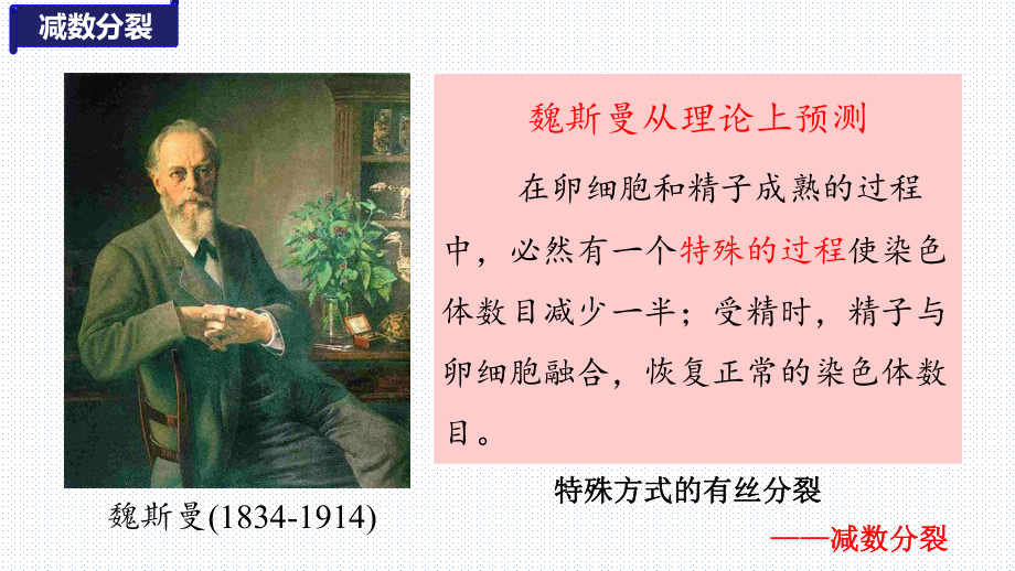 【省級公開課】2.1減數(shù)分裂和受精作用課件2021-2022學(xué)年高一下學(xué)期生物人教版必修2_第3頁