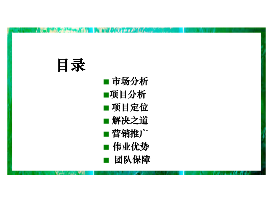 别墅豪宅项目营销策划提案(共123页).ppt_第5页