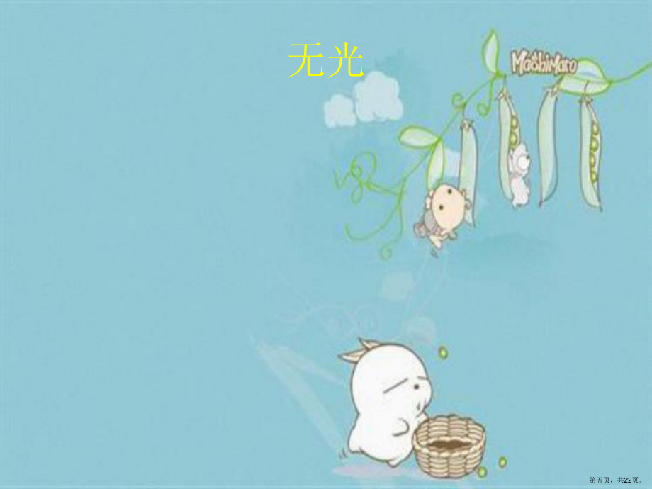 光照对绿豆芽的影响_第5页