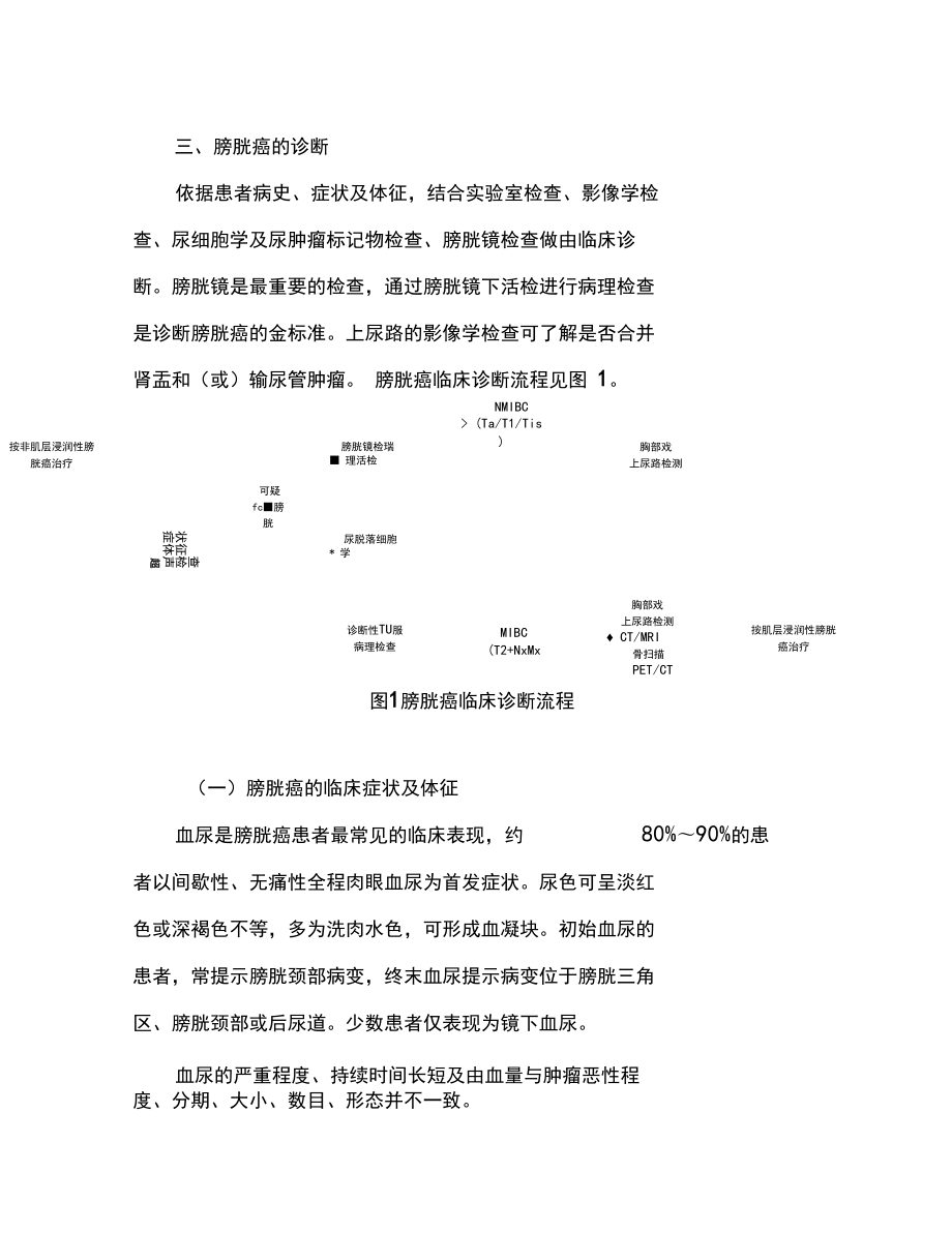 膀胱癌诊疗规范2018年版_第3页