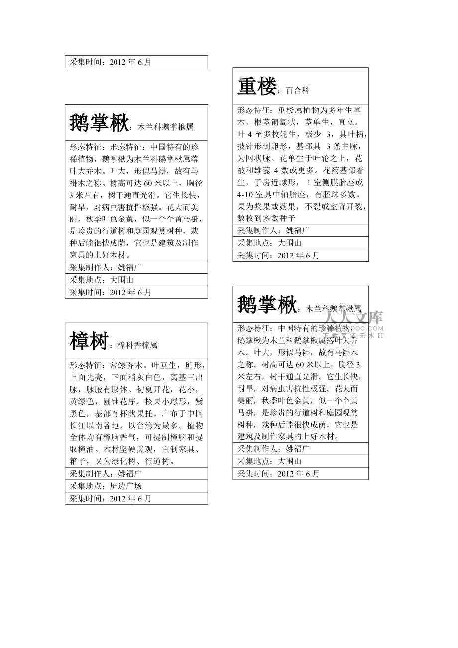 標(biāo)簽燈臺(tái)葉_第2頁