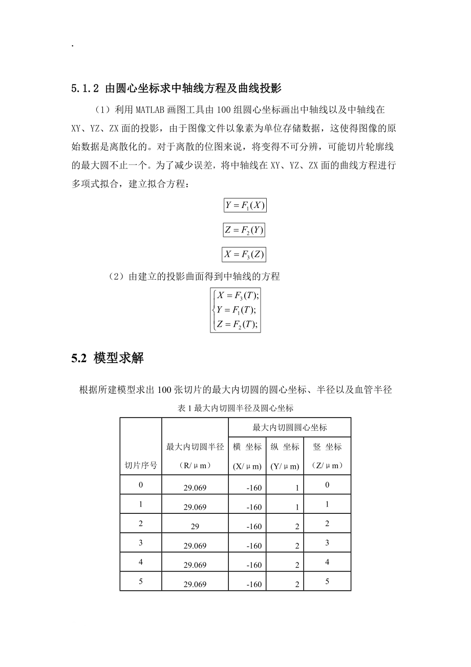 維血管重建建模含源代碼_第5頁