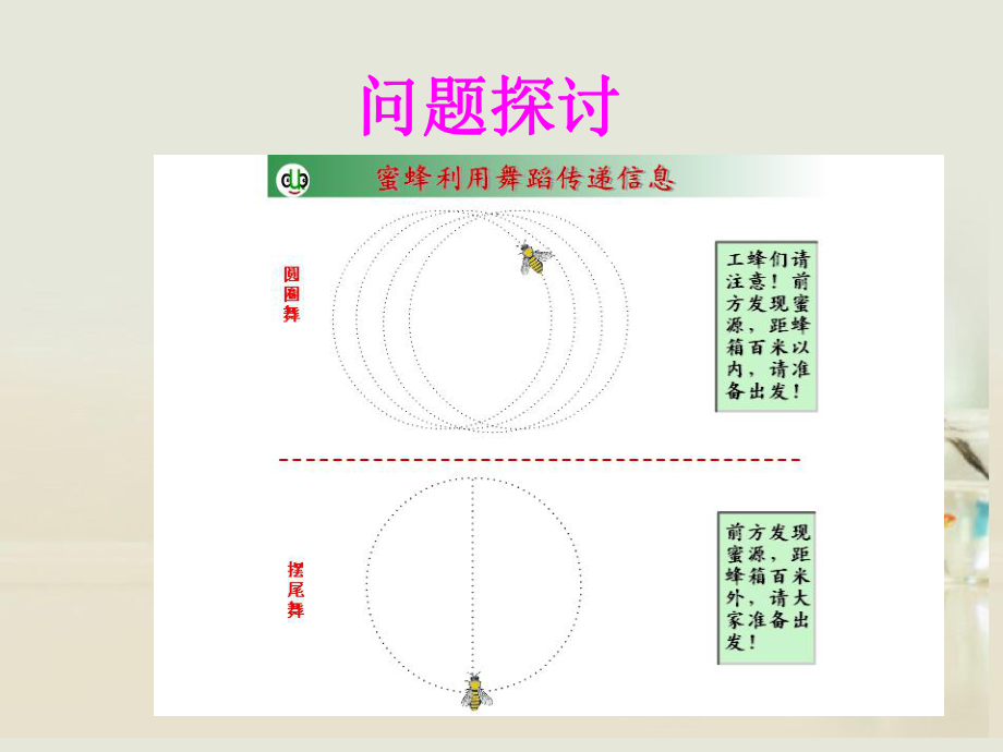 高中生物《第五章第四節(jié)生態(tài)系統(tǒng)的信息傳遞》課件4新人教版必修_第5頁